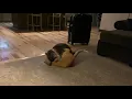The post-nip wrassle