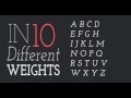 Design 260 Type Specimen
