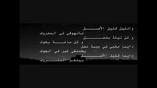 ياسمين علي مقدمة بت القبايل بالكلمات دندنها