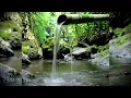 Download Lagu AMPUH ❗ Suara air sungai untuk terapi burung stress - Relaksasi Burung - Terapi burung macet