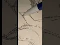 making random animals using an animal generator