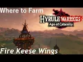 Hyrule Warriors Age of Calamity - Where to Farm Fire Keese Wings