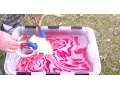 Deer Skull Dippng DIY hydro dipping