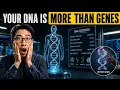 Your DNA Is More Than a List of Genes