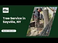 Tree Service in Sayville NY Garcia Tree Removal Service