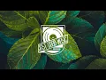 Plusma - Marmots Dance