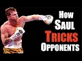 Canelo Alvarez s Unpredictable Style Explained - Technique Breakdown