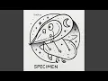Lagu Specimen