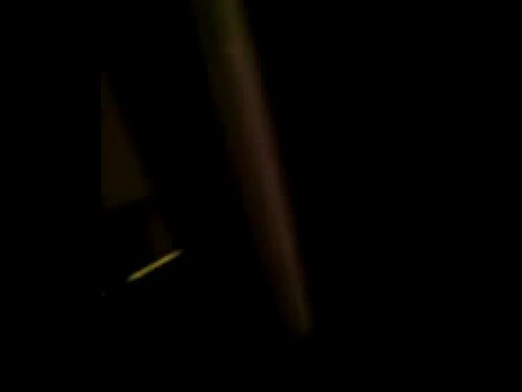 Hunted house