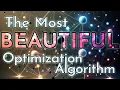 The Particle Swarm Optimization Algorithm