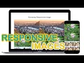 Bootstrap Responsive Images Bootstrap Tutorial