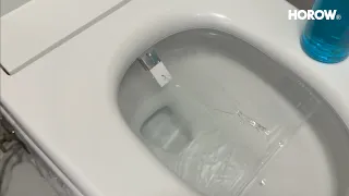 HOROW T38P Smart Toilet First Setup Custom Bidet Settings Smart Features