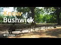 Guide to Bushwick NYC Know the Neighborhood