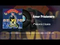 Valentín Elizalde - Amor Prisionero (Audio/En Vivo)
