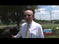 STEUBEN COUNTY LANDFILL SHEEP