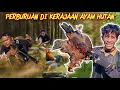 Download Lagu 17 HOURS OF JUMPCHI HUNTING FROM DAWN UNTIL AFTERNOON RAIN