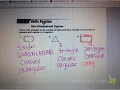 lesson 1-6 two dimensional figures
