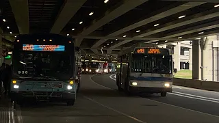 4K 2025 Bus Action LaGuardia Airport M60-SBS Q47 Q48 Q70-SBS Q72