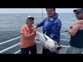 Queen Mary Jigging Tuna