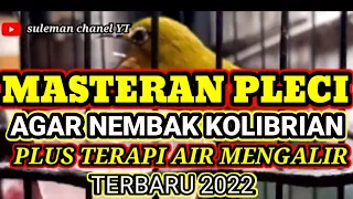 Download MASTERAN PLECI TERBARU 2022 MP3