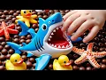 Download Lagu Dive Into Aqua World: Puffer, Clown, Eel, Goldfish, Seahorse, #dolphin #shark #starfish