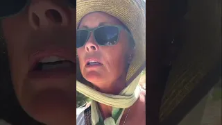 Will He Survive? Wasp Sting Drama on the Turquoise Coast!