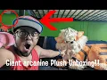 GIANT Arcanine plushie unboxing 100 Sub Special