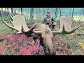 Hunting GIANT Bull Moose in Alaska DIY Drop Camp Hunt Mullet Man