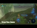 BotW - Ta loh Naeg to Despair memory