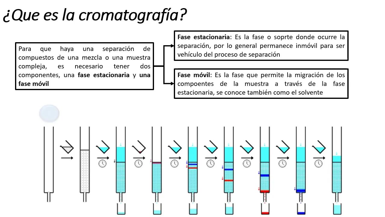 8  Principios de Cromatografía