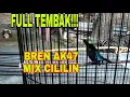 Download Lagu KONIN GACOR FULL TEMBAKAN ISIAN BREN CIBLEK AK47 MIX CILILIN||SUARA KONIN ISIAN NYARING BERSIH