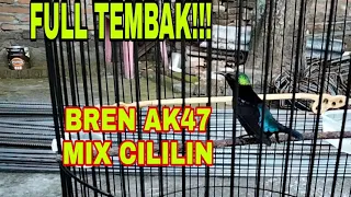 Download KONIN GACOR FULL TEMBAKAN ISIAN BREN CIBLEK AK47 MIX CILILIN||SUARA KONIN ISIAN NYARING BERSIH MP3