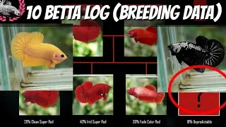 Download BETTA BREEDING DATA / BETTA LOG FOR KNOWLEDGE AND REFERENCE MP3