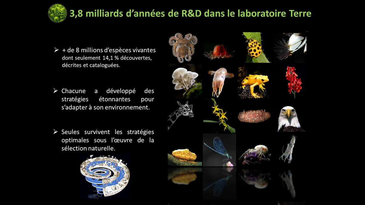 Biomimétisme