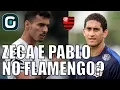 Download Lagu Pablo, Zeca e Cesár Carpegiani no Flamengo?- Gazeta Esportiva (26/12/17)