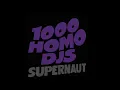 1000 Homo DJs — Supernaut (Trent Reznor Vocals / 2021 Re-release)