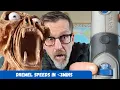 What Dremel Speed Should You Use for Wood Carving