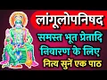 Download Lagu लांगूलोपनिषद | लांगूल उपनिषद | Langulopanishad | Laangul Upanishad