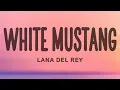 Download Lagu Lana Del Rey - White Mustang