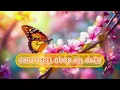 STEPHANIE MILLS - I FEEL GOOD ALL OVER (LYRICS)