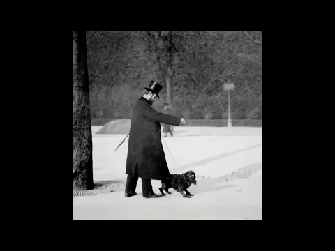 CHIEN CANICHE NOIR SAUTANT 1896 1897 Silent film Étienne Jules Marey