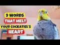Download Lagu 9 WORDS That TOUCH Your Cockatiel’s HEART ❤️ What Your Bird Needs to Hear