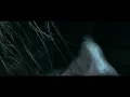 Ebb - Old Bones (Official Video)