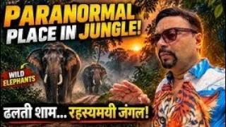 Paranormal Place In Jungle ! ढलती शाम, जंगल का रहस्यमयी माहौल और रास्ते में दिखाई दिए Wild Elephants