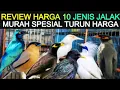 Lagu 🟡 REVIEW HARGA 10 JENIS JALAK LOKAL \u0026 IMPORT TERBARU 2026 DI PASAR BURUNG PRAMUKA HARI INI