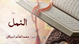 27 سورة النمل بصوت القارئ الشيخ محمد العالم الدوكالى 