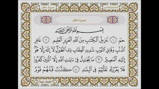 سورة غافر بصوت الشيخ حسن صالح 040 