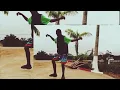Download Lagu l'oiseau rare ft skulio blanc panthère ( Tcham Gabon 2k24 clips officiel )