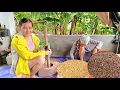 Download Lagu GANITO ANG DATING GINAGAWA NAMIN NOONG UNANG PANAHON / ANG PAG BAYO NG PALAY / BUHAY PROBINSYA 