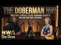What 30 Years Of Dobermans Taught Me And Why Modern Breeders Are Struggling Elizabeth Barret